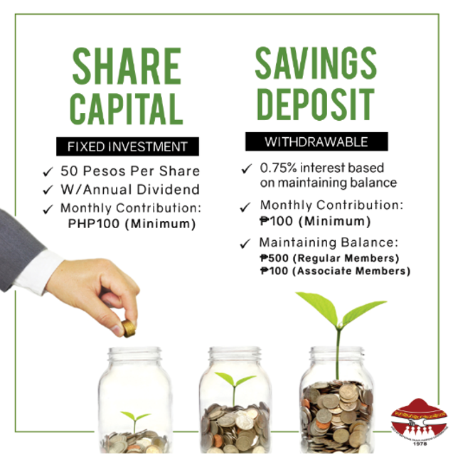 Capital Share
